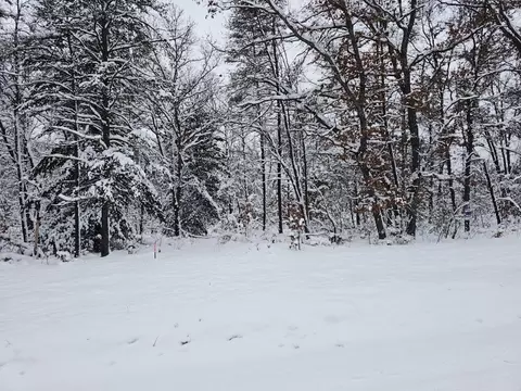 4757 S Spruce, Idlewild, MI 49642