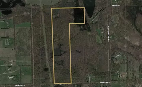 Munger, Holly, MI 48442