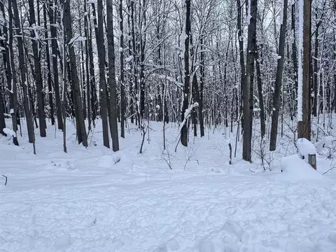 11995 Hudson Bay, Canadian Lakes, MI 49346