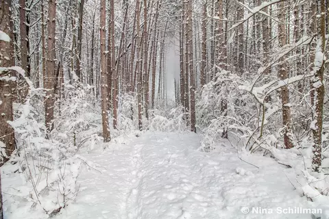 W South River, Grant, MI 49327 photo 23