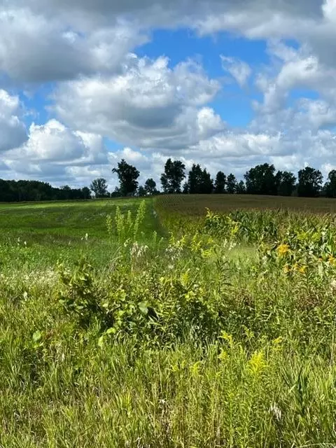 0 Mason, Grant, MI 49327