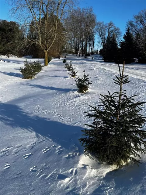 8941 Moon, Saline, MI 48176 photo 7
