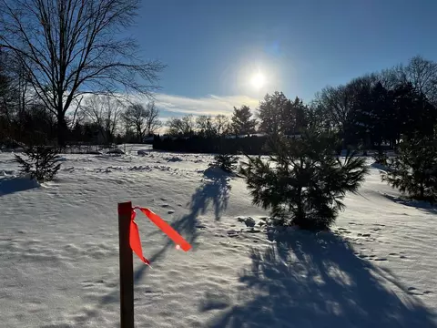 8941 Moon, Saline, MI 48176 photo 6