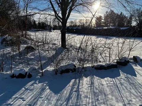 8941 Moon, Saline, MI 48176 photo 4
