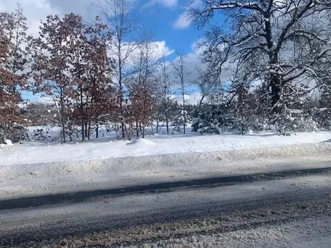 Parcel 1 N West County Line, Newaygo, MI 49337