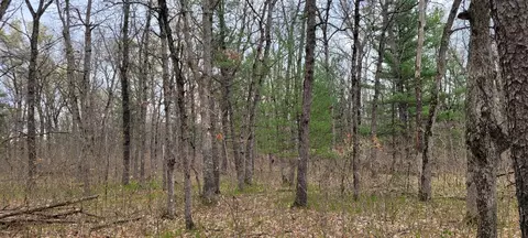 0 M 37, Baldwin, MI 49304 photo 11