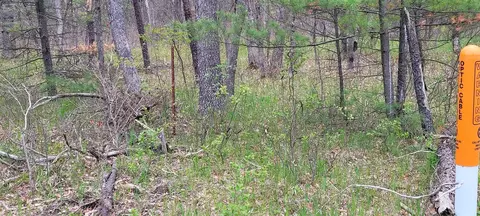 0 M 37, Baldwin, MI 49304 photo 3