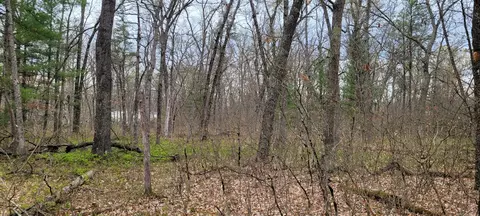0 M 37, Baldwin, MI 49304 photo 13