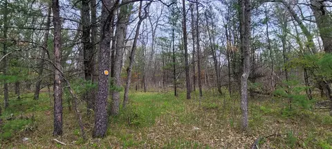 0 M 37, Baldwin, MI 49304