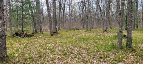 0 M 37, Baldwin, MI 49304 photo 15