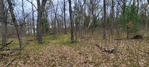 0 M 37, Baldwin, MI 49304 photo 22