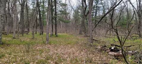 0 M 37, Baldwin, MI 49304 photo 9