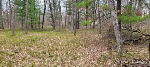 0 M 37, Baldwin, MI 49304 photo 14