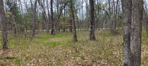 0 M 37, Baldwin, MI 49304 photo 17