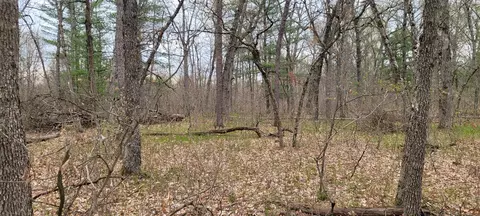 0 M 37, Baldwin, MI 49304 photo 12
