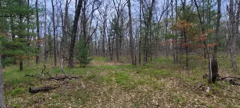 0 M 37, Baldwin, MI 49304 photo 7