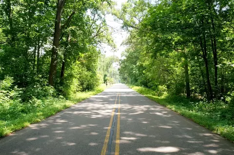 Lot 2 Leora, Jackson, MI 49201 photo 3