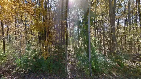 Lot 2 Leora, Jackson, MI 49201 photo 2