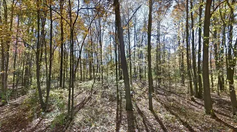 Lot 3 Leora, Jackson, MI 49201 photo 2