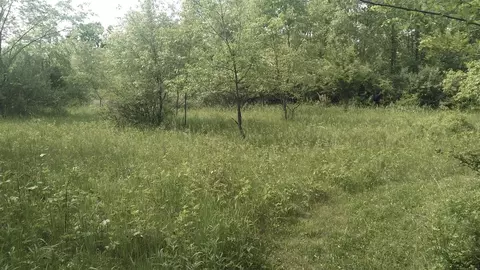 0 Forest Shrs, Cassopolis, MI 49031