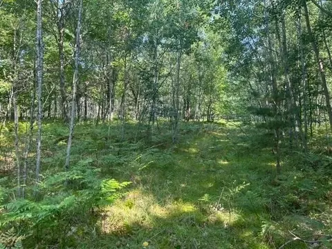 Nn W Erdman, Lake City, MI 49651
