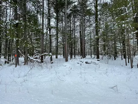 Parcel A Coates Hwy, Harrietta, MI 49638 photo 8