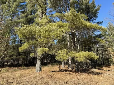 Parcel A Coates Hwy, Harrietta, MI 49638 photo 3