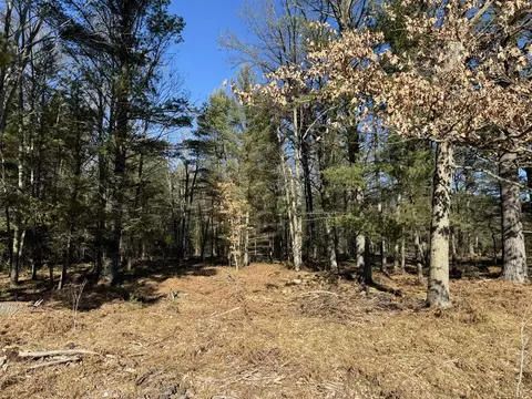 Parcel A Coates Hwy, Harrietta, MI 49638 photo 4
