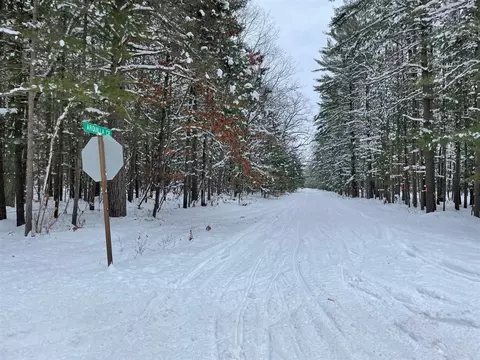 Parcel A Coates Hwy, Harrietta, MI 49638 photo 6