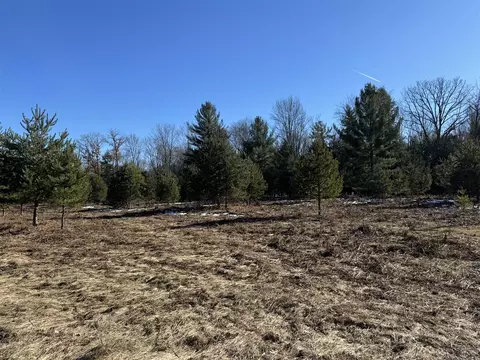 Parcel B Coates Hwy, Harrietta, MI 49638 photo 2