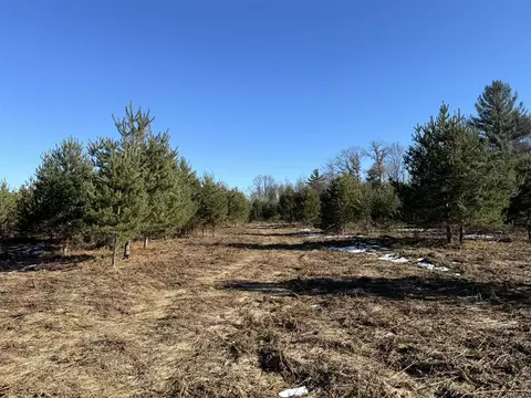 Parcel B Coates Hwy, Harrietta, MI 49638 photo 3