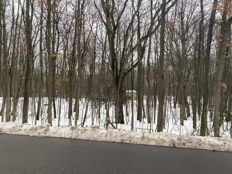 11265 Birwood #60, Canadian Lakes, MI 49346