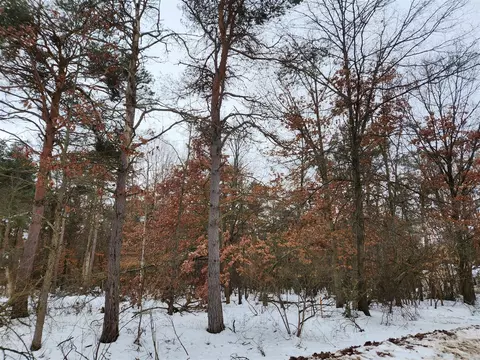 10083 Evergreen, Canadian Lakes, MI 49346