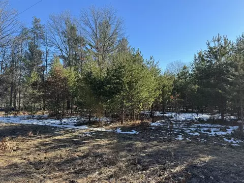 Parcel D Arquilla Creek, Harrietta, MI 49638
