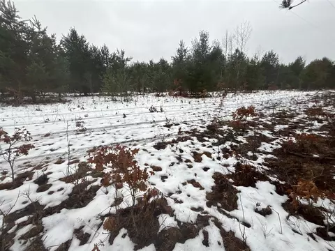 Parcel D Arquilla Creek, Harrietta, MI 49638 photo 5
