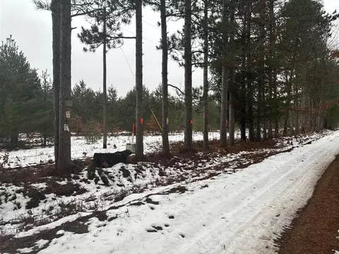 Parcel D Arquilla Creek, Harrietta, MI 49638 photo 4