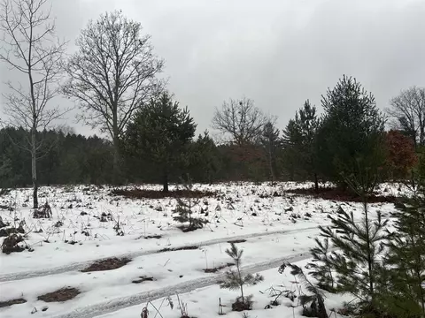 Parcel D Arquilla Creek, Harrietta, MI 49638 photo 6
