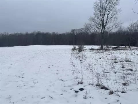 V/l Keith Rd, Brethren, MI 49619