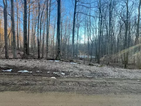 V/l Hoffman, Marcellus, MI 49067 photo 3