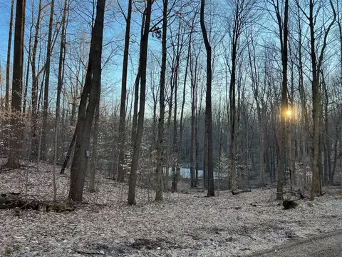 V/l Hoffman, Marcellus, MI 49067 photo 5