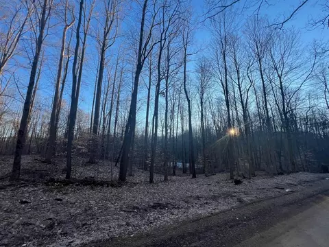 V/l Hoffman, Marcellus, MI 49067 photo 4