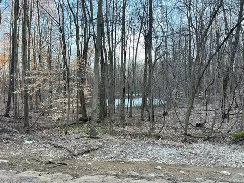 V/l Hoffman, Marcellus, MI 49067 photo 2