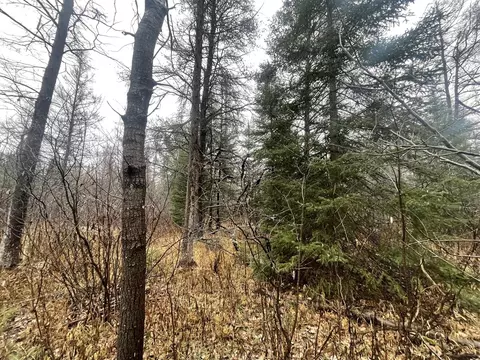 V/l 25a Juniper, Grayling, MI 49738 photo 11