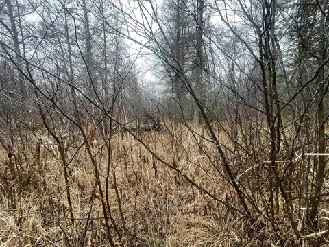 V/l 25a Juniper, Grayling, MI 49738 photo 12