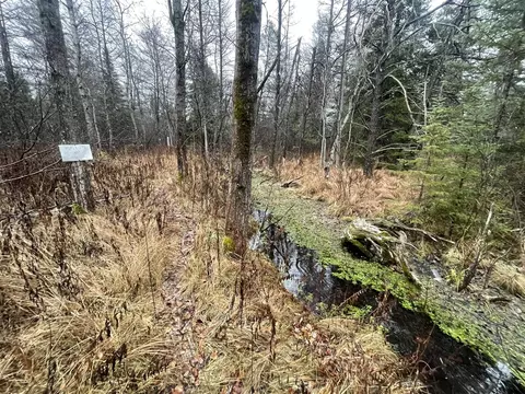 V/l 25a Juniper, Grayling, MI 49738 photo 4