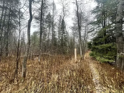 V/l 25a Juniper, Grayling, MI 49738 photo 5