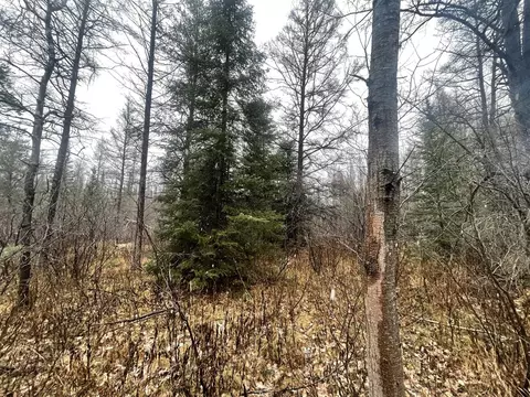 V/l 25a Juniper, Grayling, MI 49738 photo 6