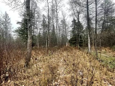 V/l 25a Juniper, Grayling, MI 49738 photo 10