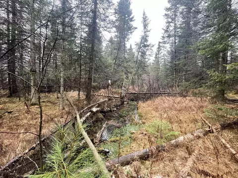V/l 25a Juniper, Grayling, MI 49738