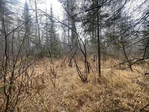V/l 25a Juniper, Grayling, MI 49738 photo 8